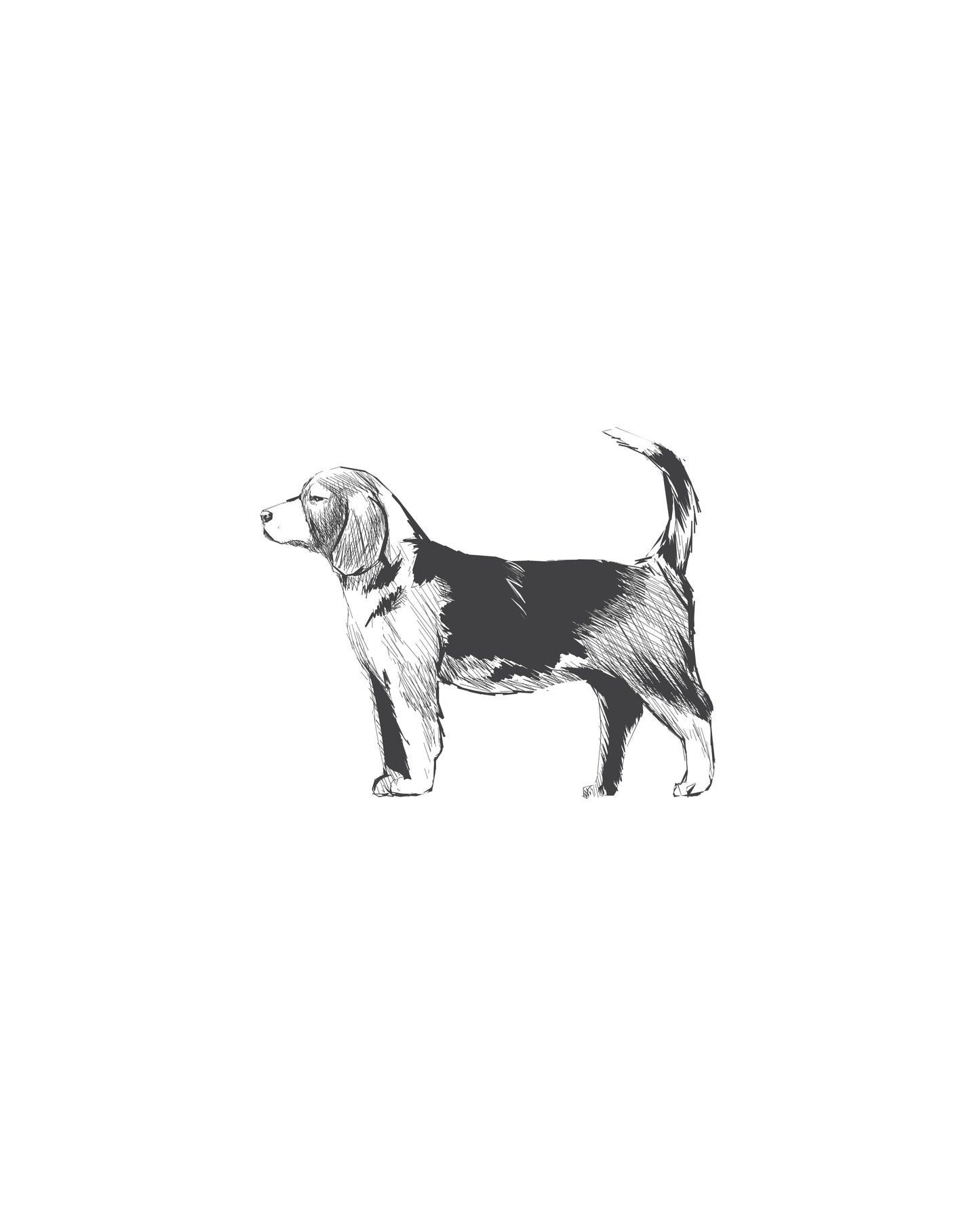 Digital Drawing: Beagle