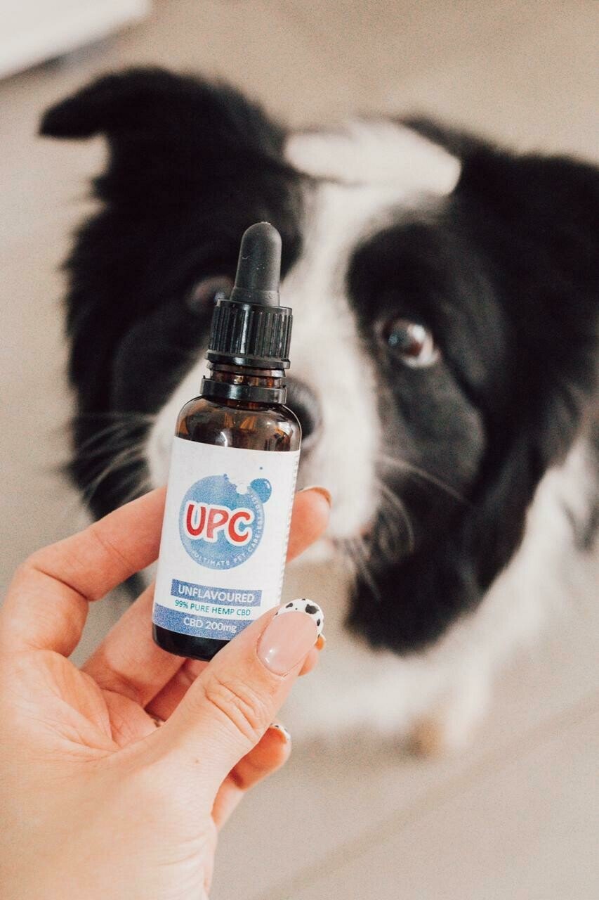 Pet CBD Oil (Unflavoured)