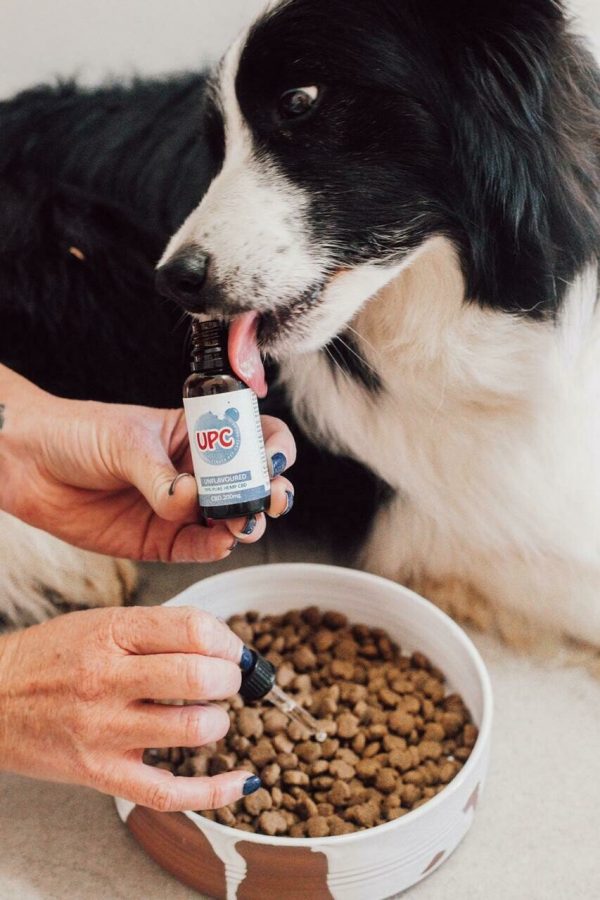 Pet CBD Oil (Unflavoured)