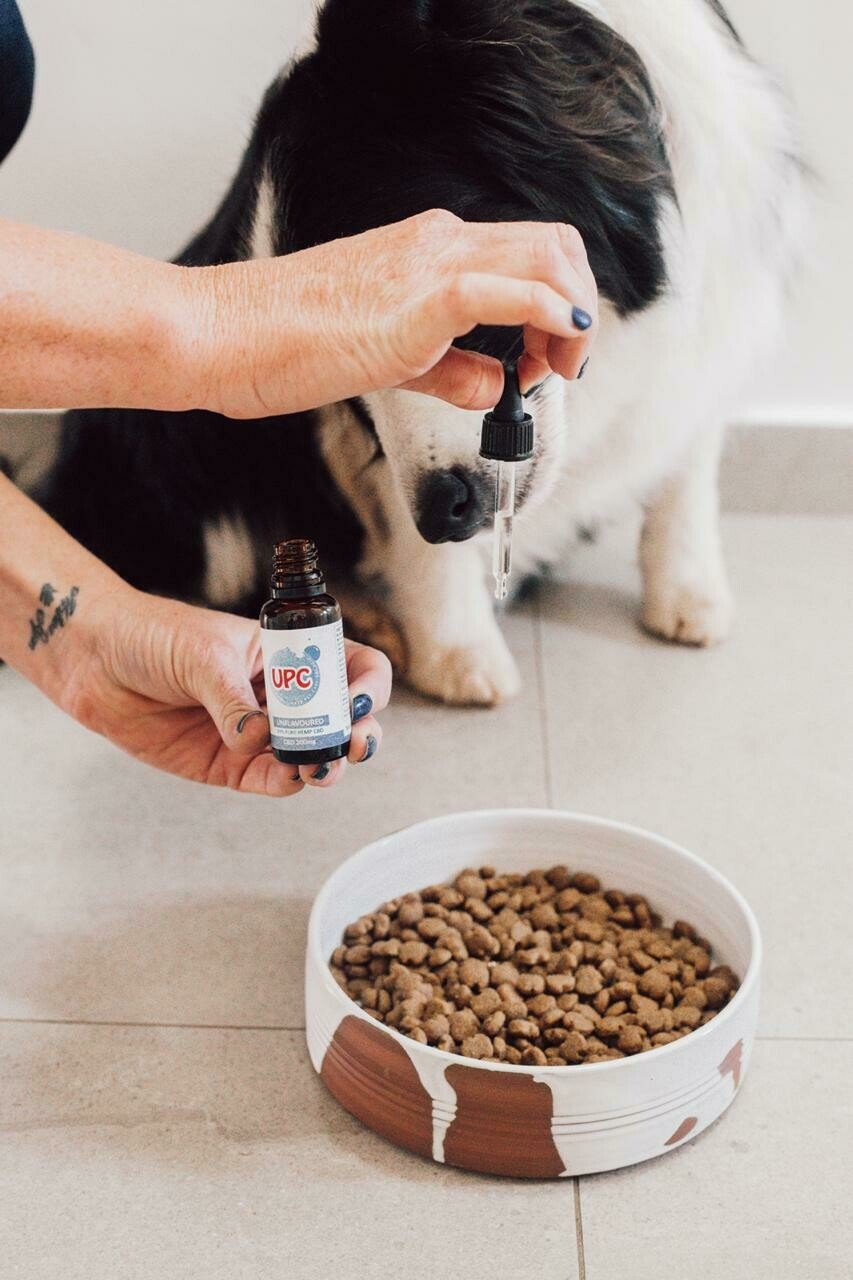 Pet CBD Oil (Unflavoured)