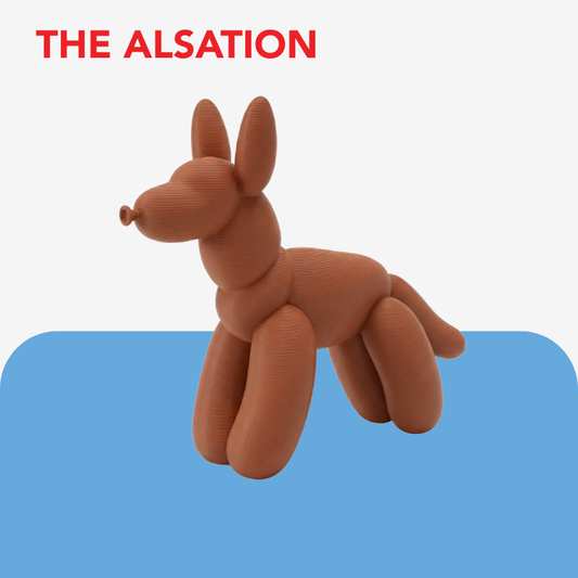 Balloon Dog Breed Keyring / Keychain