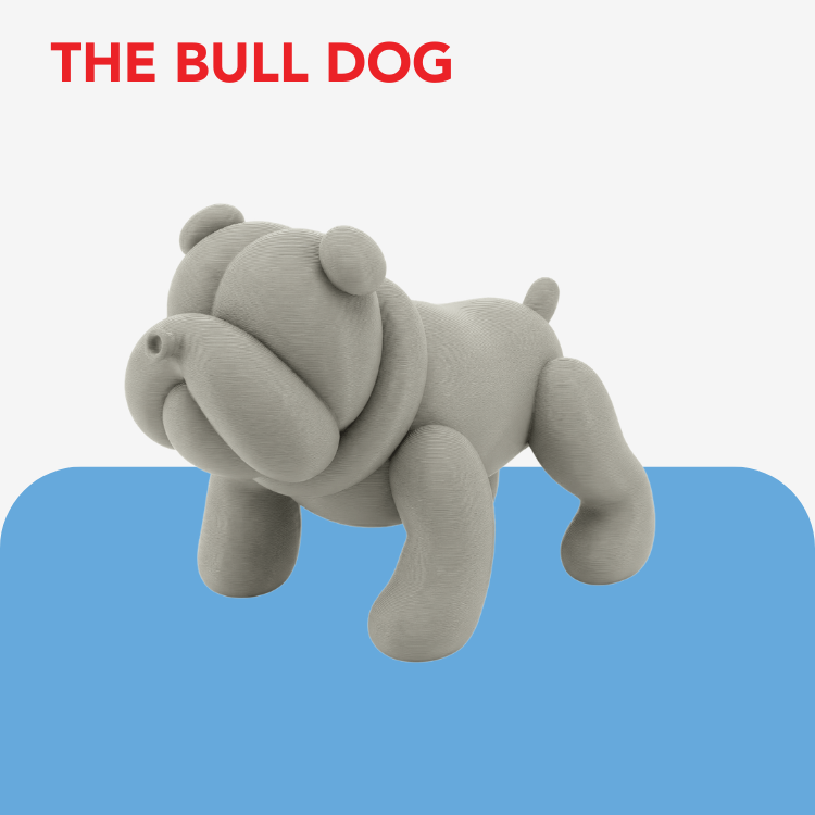 Balloon Dog Breed Keyring / Keychain