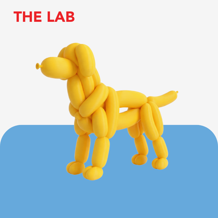 Balloon Dog Breed Keyring / Keychain