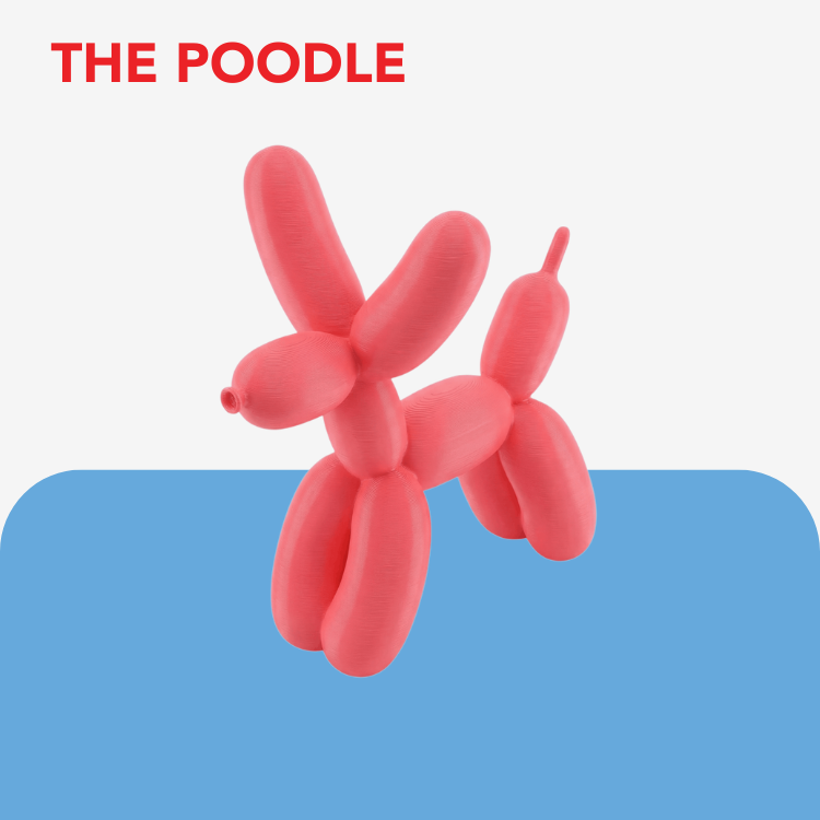 Balloon Dog Breed Keyring / Keychain
