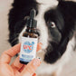 Pet CBD Oil (Unflavoured)