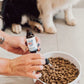 Pet CBD Oil (Unflavoured)
