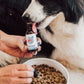 Pet CBD Oil (Unflavoured)